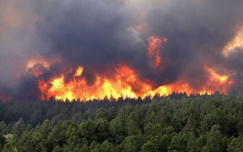 خطر آتش سوزی در جنگل ها و مراتع استان اصفهان در روزهای آینده