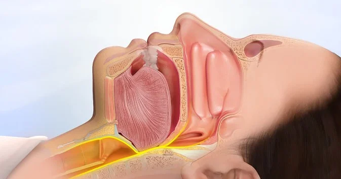 معرفی کتب مرجع برای تخصص گوش و حلق و بینی (ENT)
